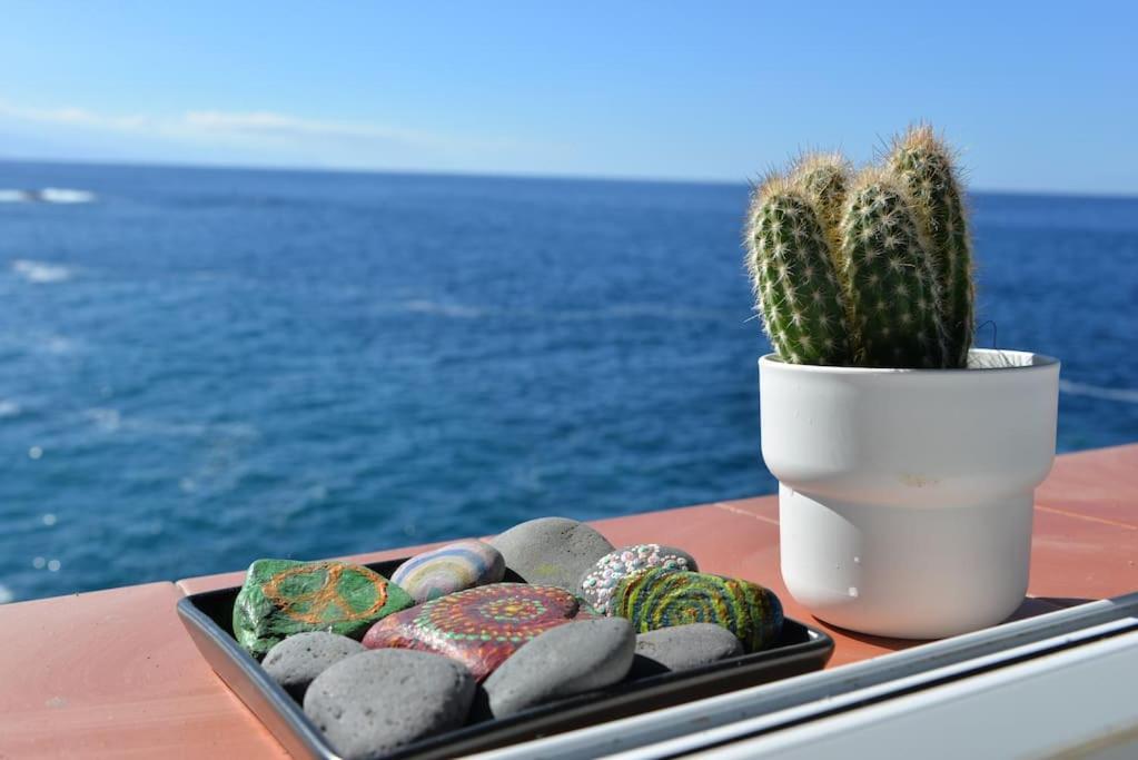 Beachfront Apartment - Tacoronte Santa Cruz de Tenerife Eksteriør bilde